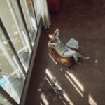wealthier-canadians-live-longer-and-are-less-likely-to-be…