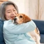 how-to-make-your-home-pet-friendly-|-sixty-and&hellip;