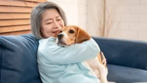 how-to-make-your-home-pet-friendly-|-sixty-and…