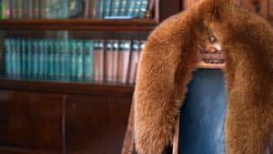 Selling Your Fur Coat Can Be Easy | Sixty And&hellip;