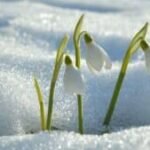 the-magic-of-springtime-|-sixty-and-me