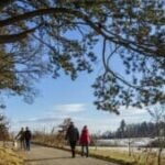 sonntagsspaziergang-–-the-practice-of-paying-attention-|-sixty-and&hellip;