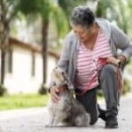 tips-for-being-a-good-pet-neighbor-|-sixty-and…