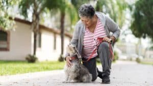 Tips For Being A Good Pet Neighbor | Sixty And&hellip;