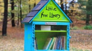 The Joys Of Little Free Libraries | Sixty And Me