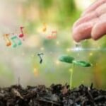 the-machine-didn't-plant-the-seed-|-sixty-and-me