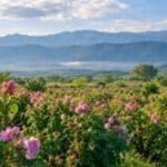 moving-to-bulgaria:-how-it-all-began-|-sixty-and…
